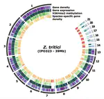 Genomic and epigenomic architecture of a plant pathogen