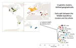 Global spread and adaptation of a major crop pathogen